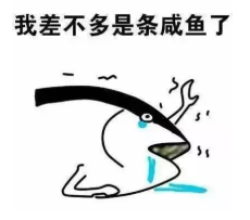 a9.png